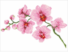 DIAMOND DOTZ Diamantová výšivka Diamond Dotz Orchidej 49x39cm DD6034