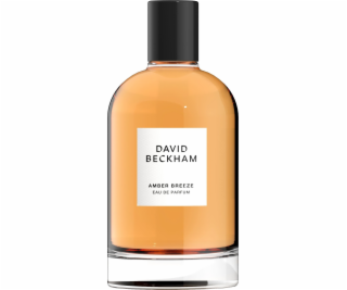 NoName DAVID BECKHAM Amber Breeze EDP sprej 100ml