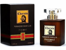 Alkotest PARIS CORNER Charuto Tobacco Vanille EDP sprej 100ml