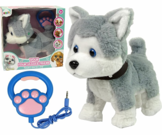 LeanToys Plyšový pes Husky Interaktivní vzdělávací vodítk...