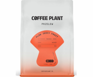 Coffee Plant Kávová rostlina FLOW Juicy Fruit 250g kávová...