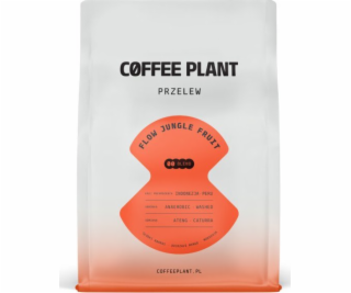 Coffee Plant Kávová rostlina FLOW Jungle Fruit 250g kávov...