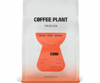 Coffee Plant Kávová rostlina FLOW Verry Berry 250g