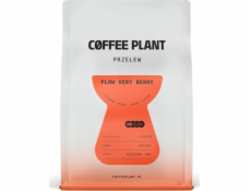 Coffee Plant Kávová rostlina FLOW Verry Berry 250g