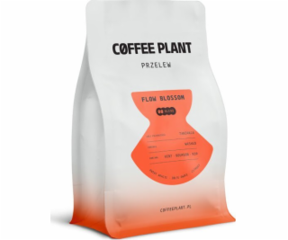 Coffee Plant Kávová rostlina FLOW Blossom 250g kávová zrna