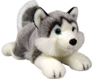Dubi Maskot pes husky ležící plyšový 34cm měkký mazlivý pes