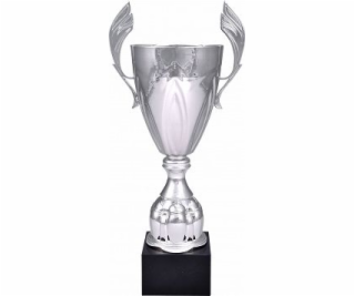 Victoria Sport Sportovní hrnek Victoria, kovový stříbrný ...