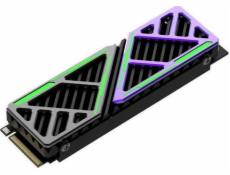 HIKSEMI FutureX 1TB M.2 2280 PCI-E x4 Gen4 NVMe SSD (HS-SSD-FUTUREX 1024G)