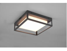DELIGHT Trio Witham 677860142 stropní svítidlo venkovní IP54 1x14W LED 2300-4000K antracit