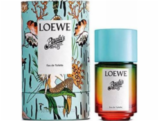 Loewe Paulas Ibiza EDT 50 ml