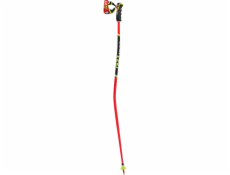 Leki LE KIJ WCR TBS GS 3D 120