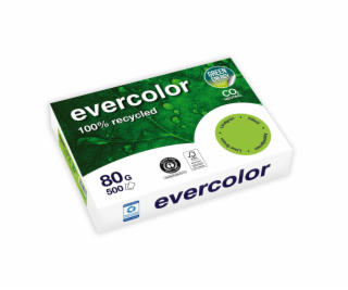 Clairefontaine EverColor grün Recyclingpapier A 4 80 g 50...