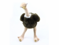 Rappa Plyšový pštros Emu 32 cm