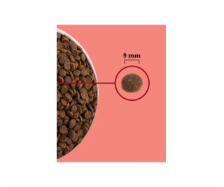 ACANA Highest Protein Indoor Cat - suché krmivo pro kočky...