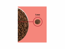 ACANA Highest Protein Indoor Cat - suché krmivo pro kočky - 4,5kg