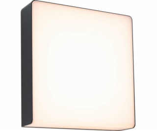 Paulmann Nástěnná lampa AZALENA LED HF 8,5W 700lm 3000K I...