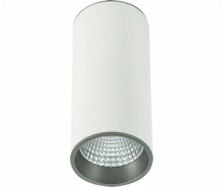 Italux Moldes Big WH/GR Stropní svítidlo 3000K SLC7392/12...