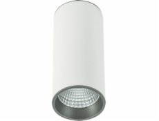 Italux Moldes Big WH/GR Stropní svítidlo 3000K SLC7392/12W 3000K WH+GR