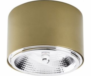 Stropní svítidlo TK Lighting Spot MORIS 3349