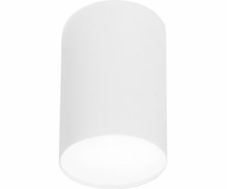 Stropní svítidlo Nowodvorski Plexi L 1x20W (6528)