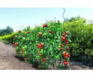 Podpora rostlin Garden Center 140183, 0,7 cm x 0,7 cm x 1...