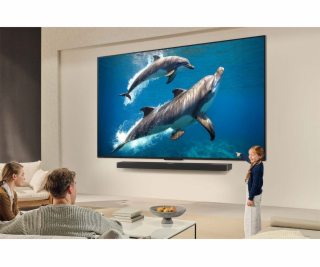 Televize 55QNED84A3C