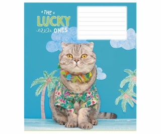 Sešit s mřížkou, B5, 12 listů