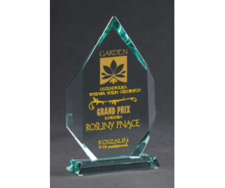 Victoria Sport Skleněná trofej s rytím a pouzdrem + výplň...