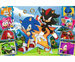 Trefl Puzzle 100 dílků Seznamte se se Sonicem Sonic
