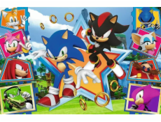 Trefl Puzzle 100 dílků Seznamte se se Sonicem Sonic