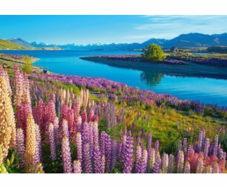 Castor 500dílné puzzle jezero Tekapo Nový Zéland