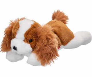 Beppe Maskot psa kavalírského plemene ležící 35 cm