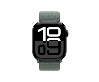 Apple Watch 42mm Sage Sport Loop