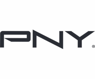 PNY PRO ELITE VYSOKÁ VÝDRŽ 256 GB