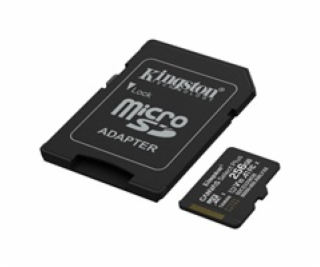 Kingston Technology Canvas Select Plus Gen3 256 GB MicroS...