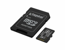 Kingston Technology Canvas Select Plus Gen3 256 GB MicroSDXC UHS-I Třída 10