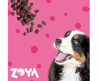 ZOYA ColdPRO Beef - suché krmivo pro psy - 3kg