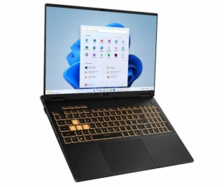 ASUS TUF Gaming F16 FX608JH-I5165W i5-13450HX 16.0 FHD+ I...