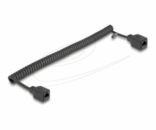 Delock - Sítový prodlužovací kabel - RJ-45 (F) do RJ-45 (...