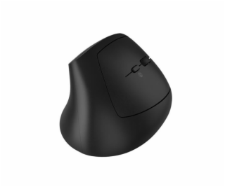 CANYON mouse MW-25 Ergonomic LED AA Dual mode Wireless Black