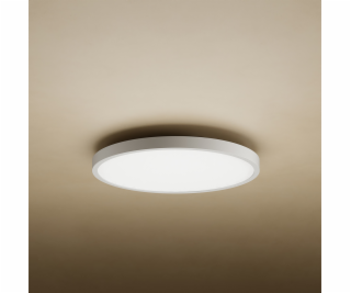 Xiaomi Mi Smart LED Ceiling Light D20