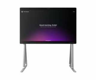 Cisco - Floor stand - pro P/N: CS-BRD55P-MM-NR-K9, CS-BRD...