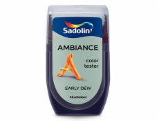 Tester barev Ambiance Early Dew 30 ml