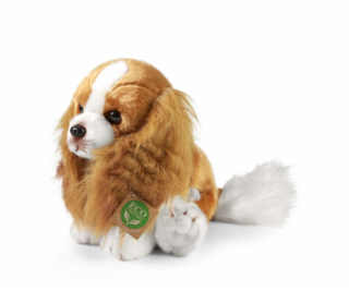 Rappa Plyšový pes kavalír king Charles španěl 28 cm ECO-F...