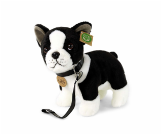 Rappa Plyšový pes francouzský buldoček s vodítkem stojící...