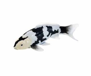 Mojo Kapr koi shiro utsuri