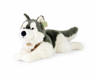 Rappa Plyšový pes husky s obojkem ležící 60 cm ECO-FRIENDLY
