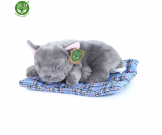 Rappa Plyšový pes francouzský buldoček ležící 23 cm ECO-F...