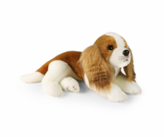 Rappa Plyšový pes kavalír King Charles španěl 40 cm ECO-F...