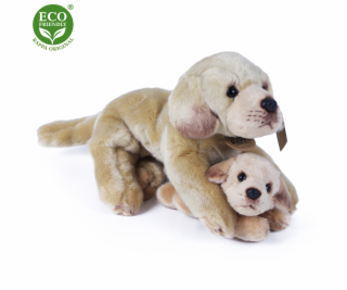 Rappa Plyšový labrador s miminkem ležící 25 cm ECO-FRIENDLY